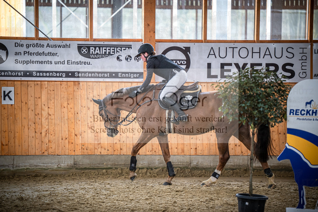 DOS_2131 | Entdecke hochwertige Reitturnierfotos von Foto Oger. Professionell, emotional und authentisch – jetzt Lieblingsmomente im Shop bestellen.Deutschlandweite Turnierfotografie. - Realisiert mit Pictrs.com