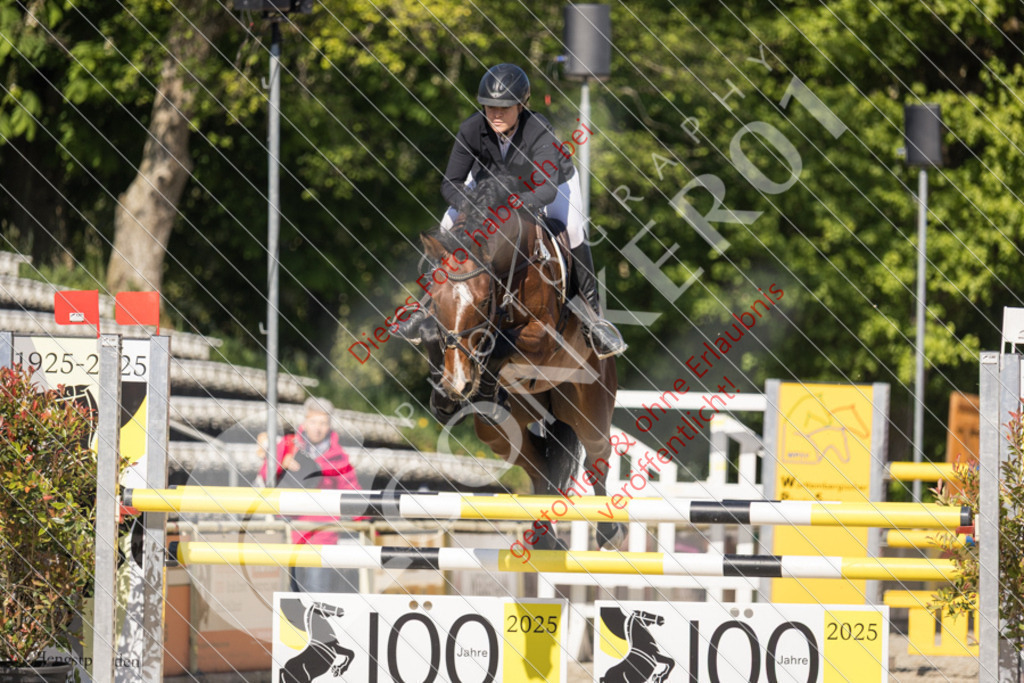 IMG_3637 | Sport-, Event- und Tierfotos in Profiqualität. Einfach auswählen, bestellen und herunterladen. Dein Moment – perfekt festgehalten.
