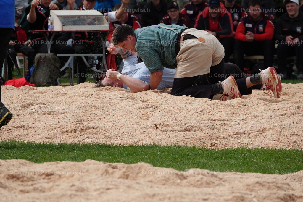 DSC00535 | Schwingen - Realisiert mit Pictrs.com