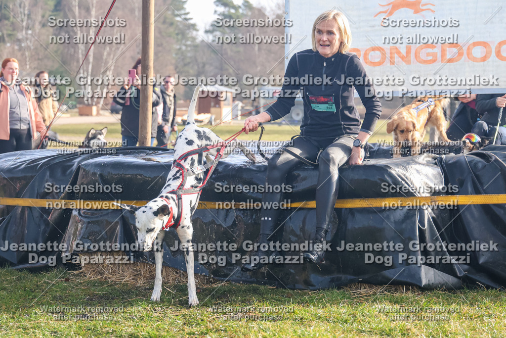 Dog Paparazzi - Strongdog North Mrz26-166 | Dog Paparazzi Jeanette Grottendiek Fotografie & Videografie - Realisiert mit Pictrs.com
