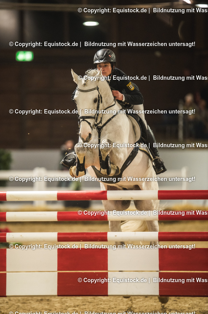 20240302_Hengstvorstellung_Marbach_TOMsPiC_1404-2 | equistock