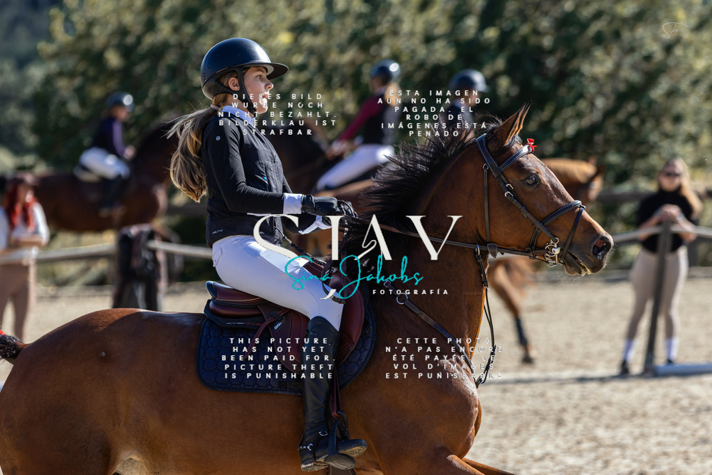 IMG_6425 | s-jay-photography - Realisiert mit Pictrs.com