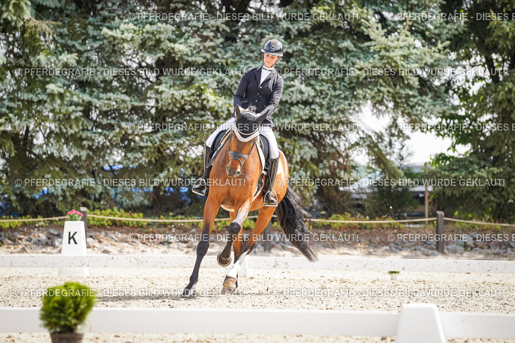 DSC09092 | Pferdegrafie