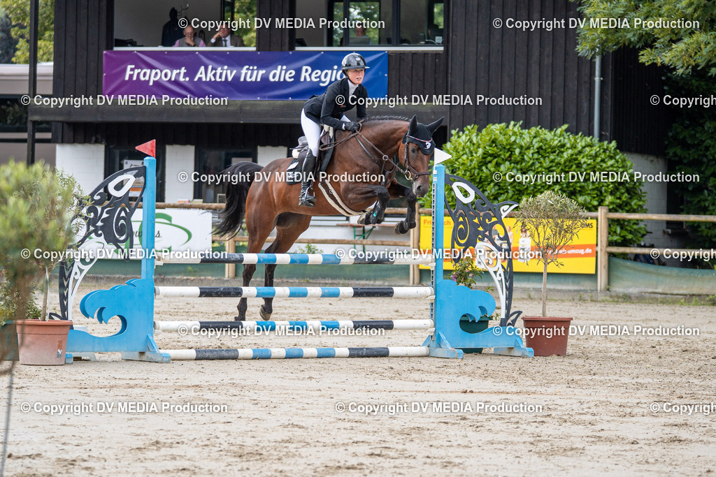 Hessische Tag 1-072 | dv-media-shop - Realisiert mit Pictrs.com