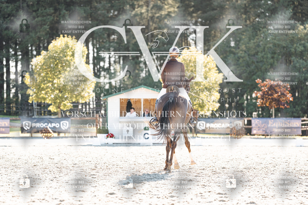 CK906555 | Turnierfotografie Pferdefotografie Trier Rheinland-Pfalz Pferdesport Reitsport Tierfotografie Sportfotografie Pferdevideo Pferdevideografie Equestrianvideography equestrianphotography  - Realisiert mit Pictrs.com