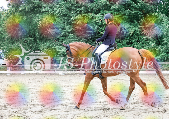 20250727_Dressurprfg_Kl.Mxx-29 | JS-Photostyle - Sport-/Portrait- & Eventfotografie