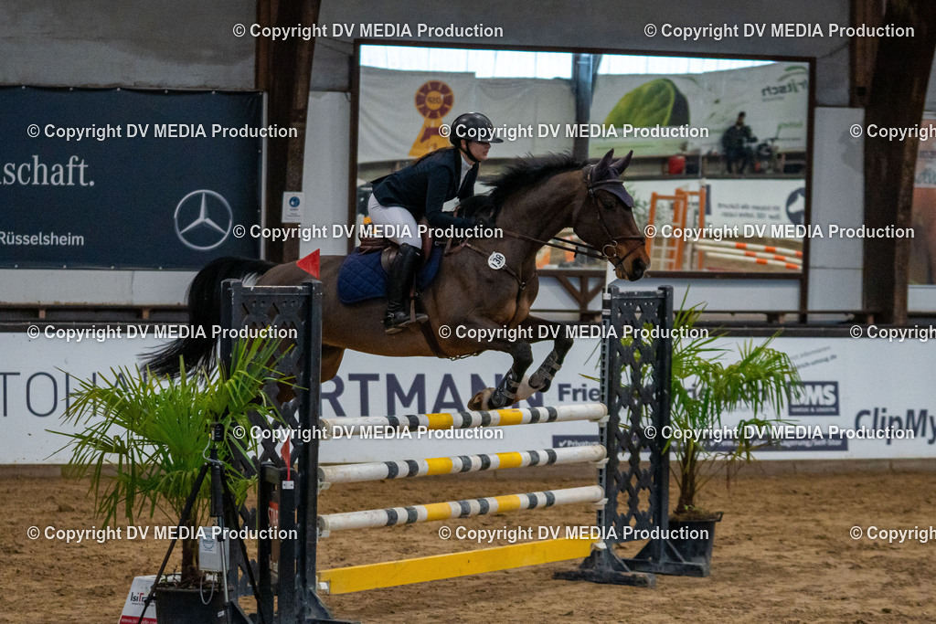 Kranichstein Tag 2-087 | dv-media-shop - Realisiert mit Pictrs.com