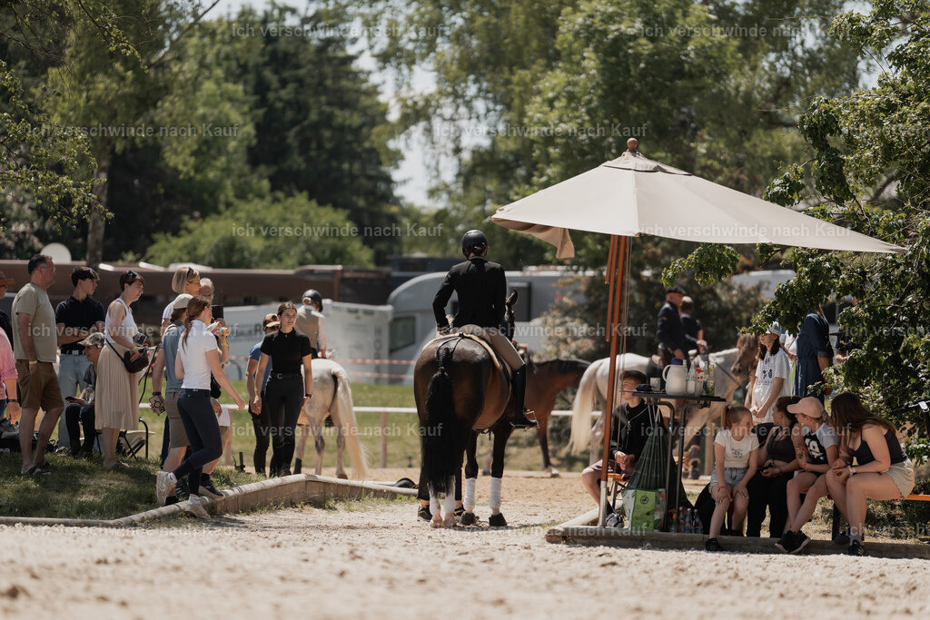 WE_SP_Stoib_330_PI2025_2003 | Pferd International München 2025