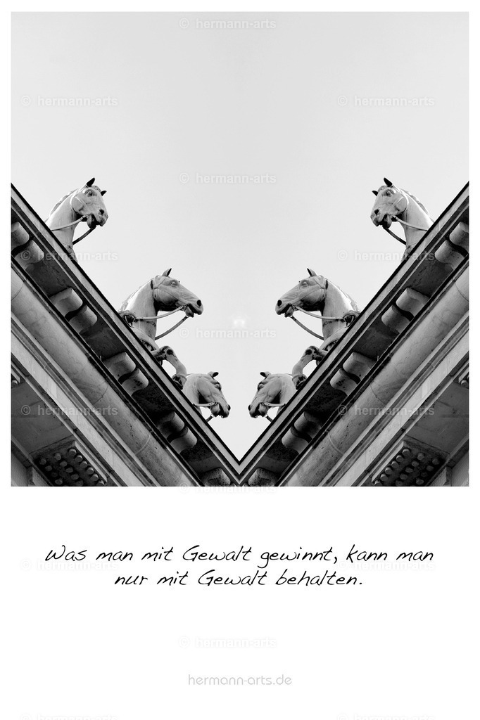 PK_Zitate_10x15_BW-005 | Photo Foto Kunst Art schwarzweiss Bilder Rheine Münster Berlin Blumen 