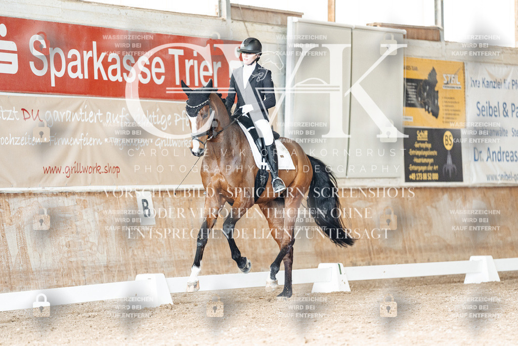 CK901802 | Turnierfotografie Pferdefotografie Trier Rheinland-Pfalz Pferdesport Reitsport Tierfotografie Sportfotografie Pferdevideo Pferdevideografie Equestrianvideography equestrianphotography  - Realisiert mit Pictrs.com