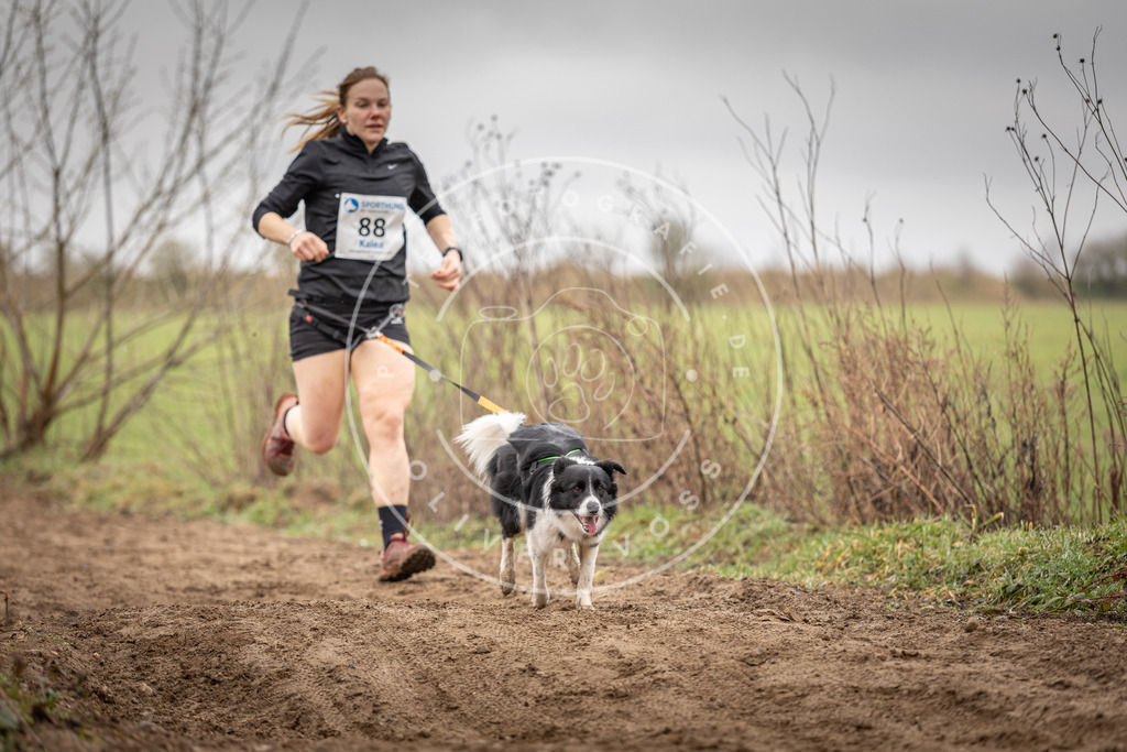 DV3A9954 | Hundefotografie, Tierfotograf, Pfotenfotografie, Fotoshooting Hund, Hunde Portrait, Hundesport, Hundeportraits, Heideshooting, Hunde, Sportfotograf, Hundefotograf, Turnierhundsport, THS,  - Realisiert mit Pictrs.com