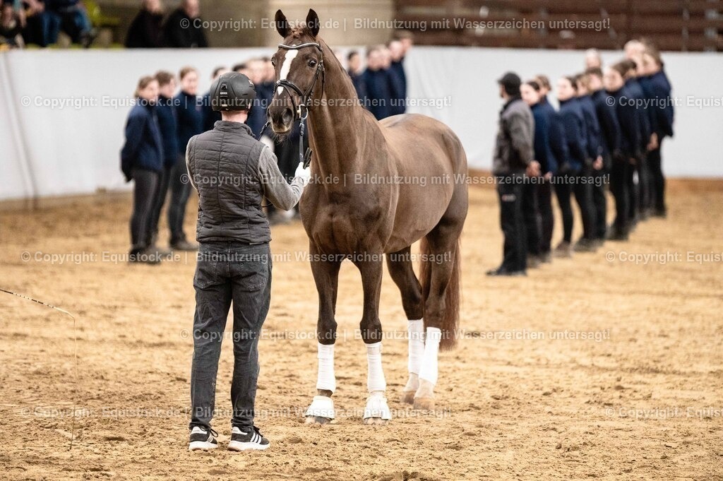 20260307_Hengstvorstellung-Marbach_0533 | equistock