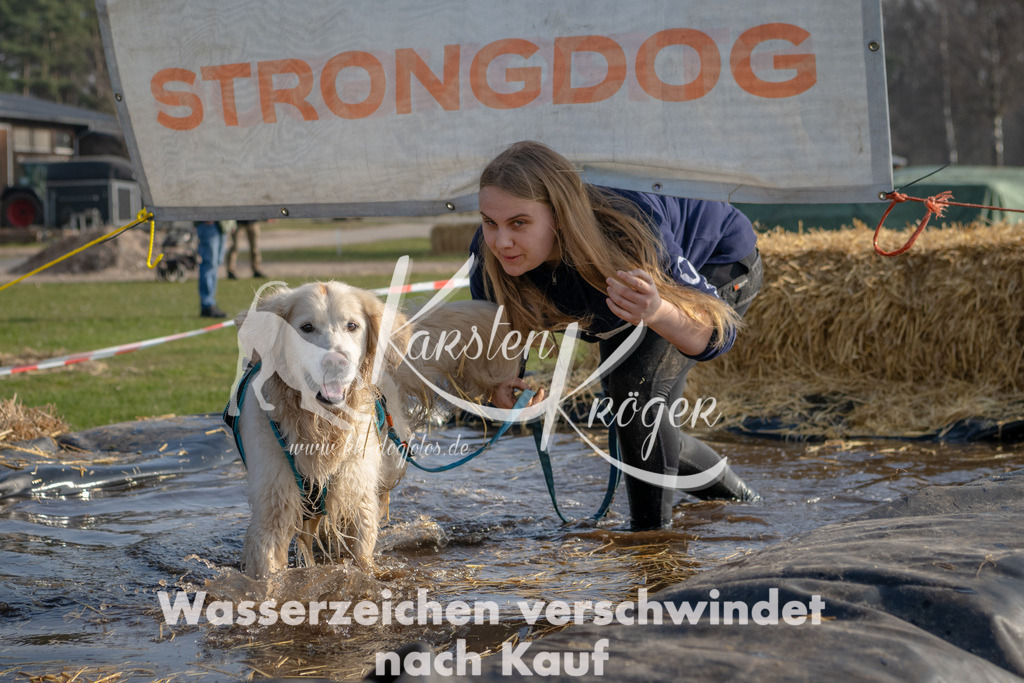 _ZZ94273 | kk-dogfotos