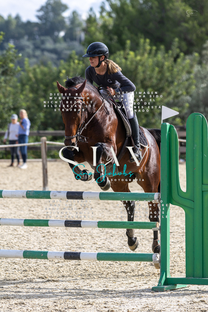 IMG_3916 | s-jay-photography - Realisiert mit Pictrs.com