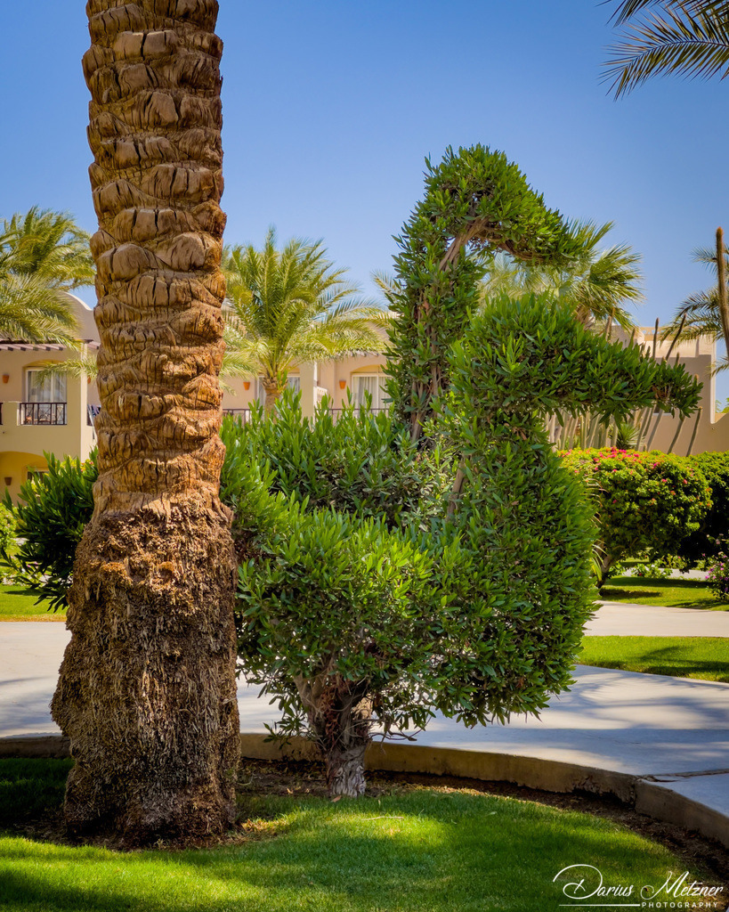 Bilder von Makadi Bay bei Hurghada | Bilder von Makadi Bay bei Hurghada