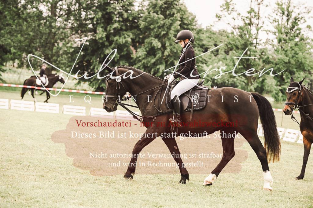DSC_4902 | Pferde- und Turnierfotografie in Westsachsen. Pferdeportraits, Auftragszeichnungen und intuitive Kunst.