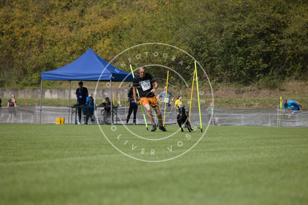 0L8A3153 | Hundefotografie, Tierfotograf, Pfotenfotografie, Fotoshooting Hund, Hunde Portrait, Hundesport, Hundeportraits, Heideshooting, Hunde, Sportfotograf, Hundefotograf, Turnierhundsport, THS,  - Realisiert mit Pictrs.com