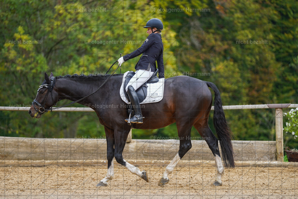 20221007-FAH09815 | Diessen am Ammersee, 2022, Dressur- und Springturnier, Reitsportbilder, Turnierfotografen Bayern, Pferdefotografen, Fotoagentur Herrmann, Turnierbilder