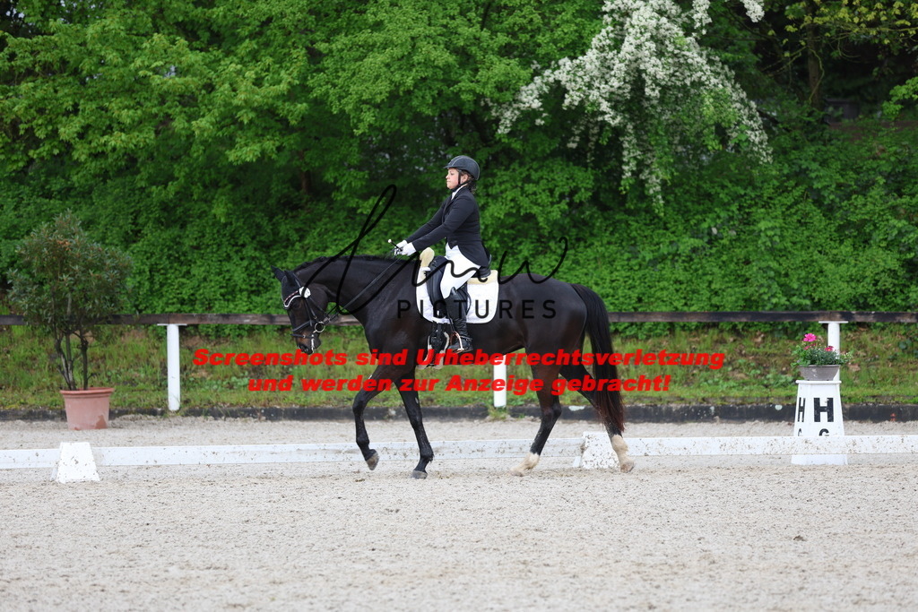 A40A9449 | lmwpictures - Realisiert mit Pictrs.com