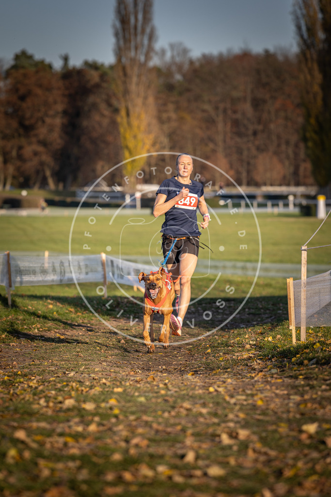 CaniXpix_DV3A3812 | Hundefotografie, Tierfotograf, Pfotenfotografie, Fotoshooting Hund, Hunde Portrait, Hundesport, Hundeportraits, Heideshooting, Hunde, Sportfotograf, Hundefotograf, Turnierhundsport, THS,  - Realisiert mit Pictrs.com