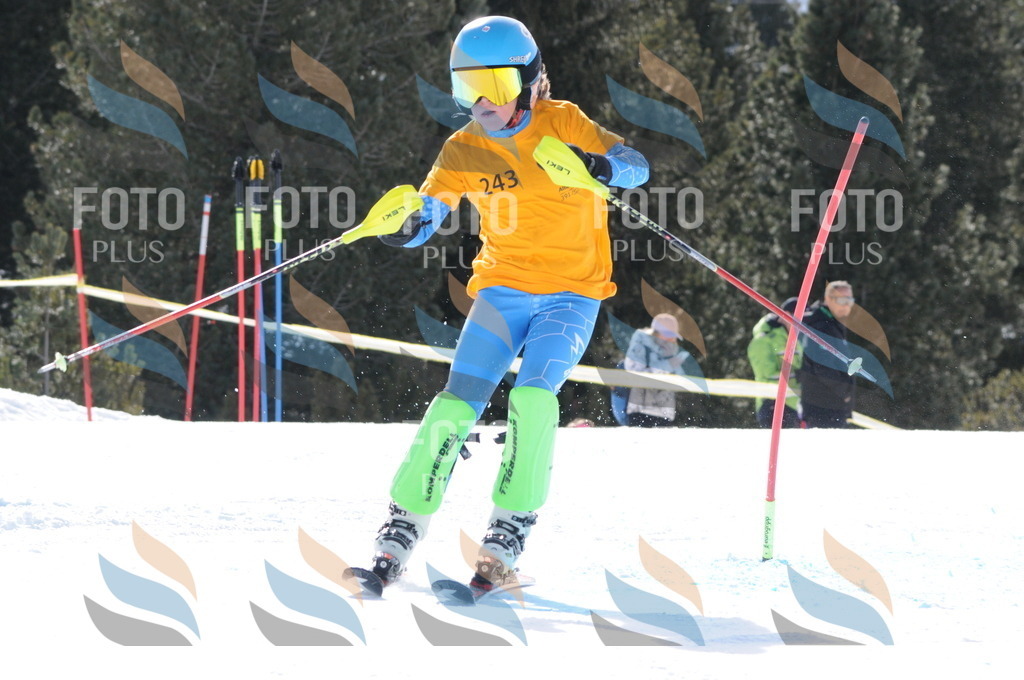 C8823 | holidayphoto