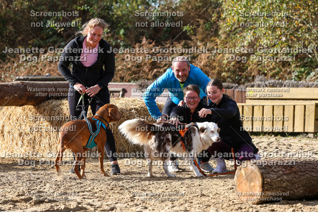 Dog Paparazzi - Strongdog 10-25-5651 | Dog Paparazzi Jeanette Grottendiek Fotografie & Videografie - Realisiert mit Pictrs.com