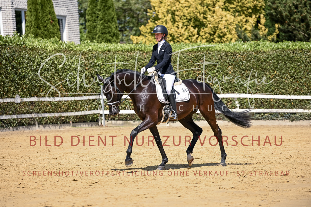 Schugtsche-Aluta25-49.Dressurpferdeprf.A-288 | Schugtsche Fotografie - Realisiert mit Pictrs.com