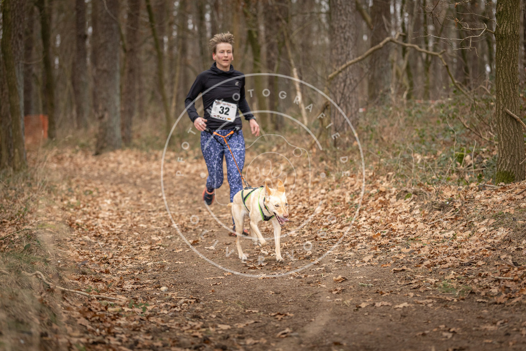 Pfotenfotografie_DV3A9457 | Hundefotografie, Tierfotograf, Pfotenfotografie, Fotoshooting Hund, Hunde Portrait, Hundesport, Hundeportraits, Heideshooting, Hunde, Sportfotograf, Hundefotograf, Turnierhundsport, THS,  - Realisiert mit Pictrs.com