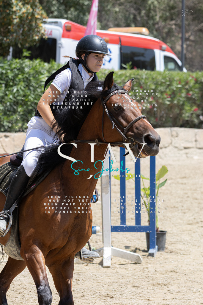 IMG_2504 | s-jay-photography - Realisiert mit Pictrs.com