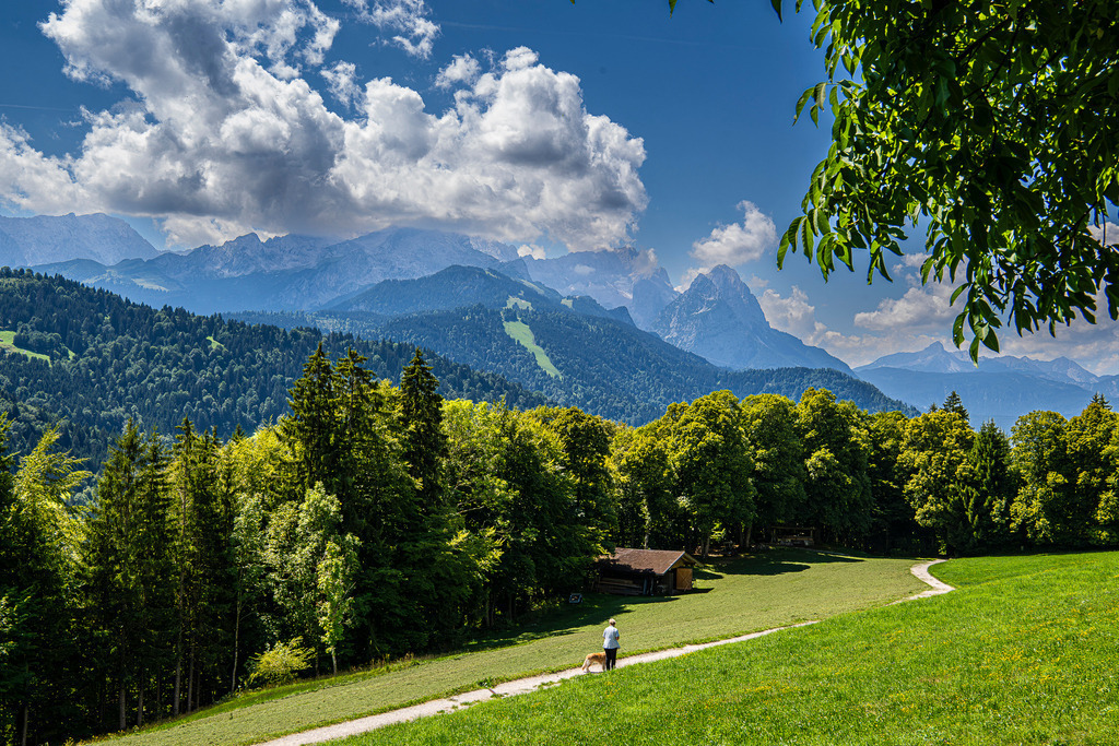 Sommerglück an der Pfeifferalm: Spaziergang mit Bergblick | Ein schmaler Pfad schlängelt sich durch saftig grüne Bergwiesen, auf dem ein Spaziergänger mit seinem Hund die friedliche Sommeridylle genießt. Der Blick von der Pfeifferalm führt vorbei an einer urigen Holzhütte über dicht bewaldete Hänge hinweg zu den imposanten, felsigen Gipfeln der Alpspitze und des Wettersteingebirges, die unter einem malerischen Wolkenhimmel thronen. Die Szenerie vermittelt ein tiefes Gefühl von Freiheit, Ruhe und gelebter Naturverbundenheit mitten in den bayerischen Alpen. - Realisiert mit Pictrs.com