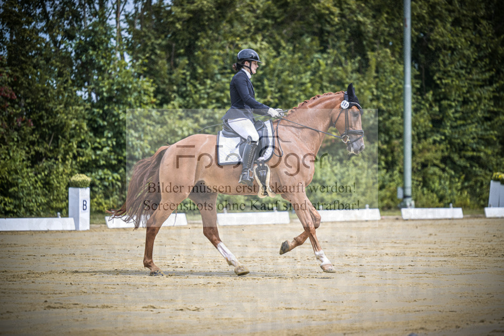 DOS_9912 | Entdecke hochwertige Reitturnierfotos von Foto Oger. Professionell, emotional und authentisch – jetzt Lieblingsmomente im Shop bestellen.Deutschlandweite Turnierfotografie. - Realisiert mit Pictrs.com