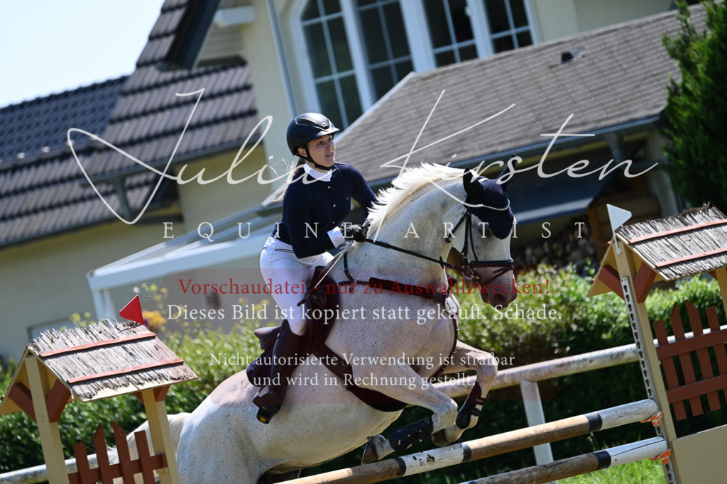 DSC_0580 | Pferde- und Turnierfotografie in Westsachsen. Pferdeportraits, Auftragszeichnungen und intuitive Kunst.