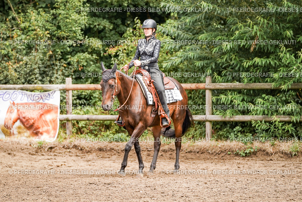 DSC04796 | Pferdegrafie