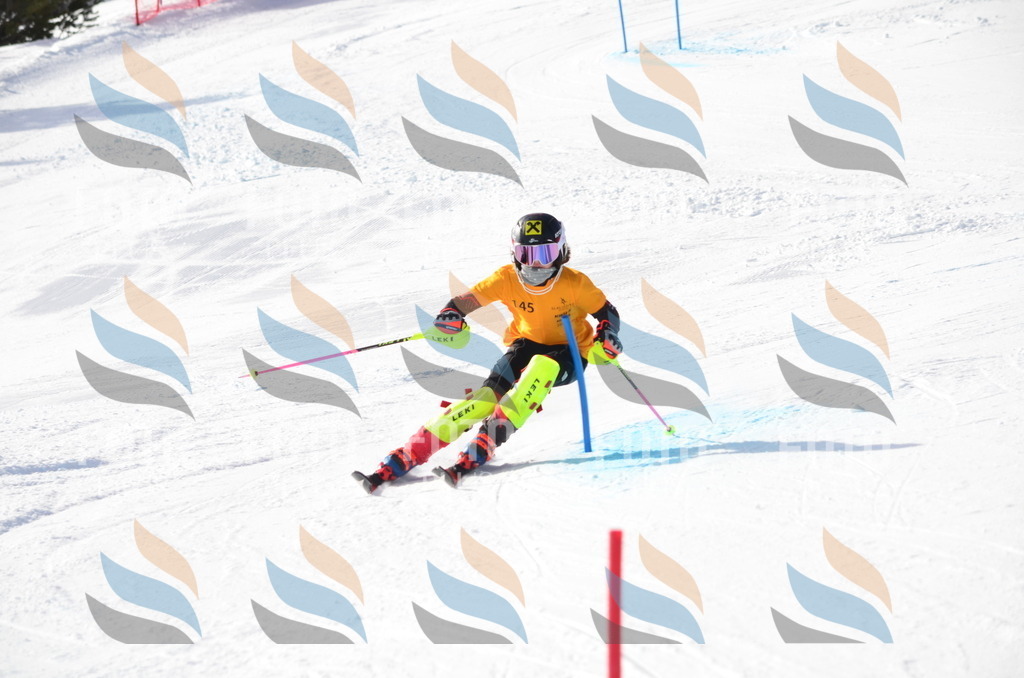 C7714 | holidayphoto