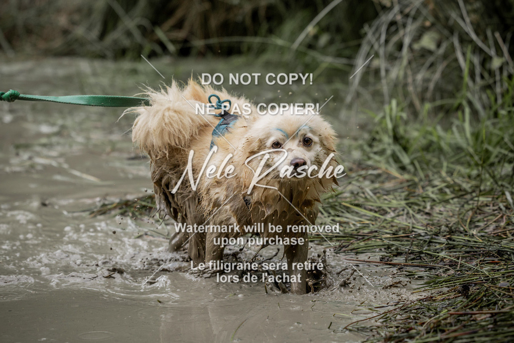 nelerasche_so1000-1030_10 | nelerasche