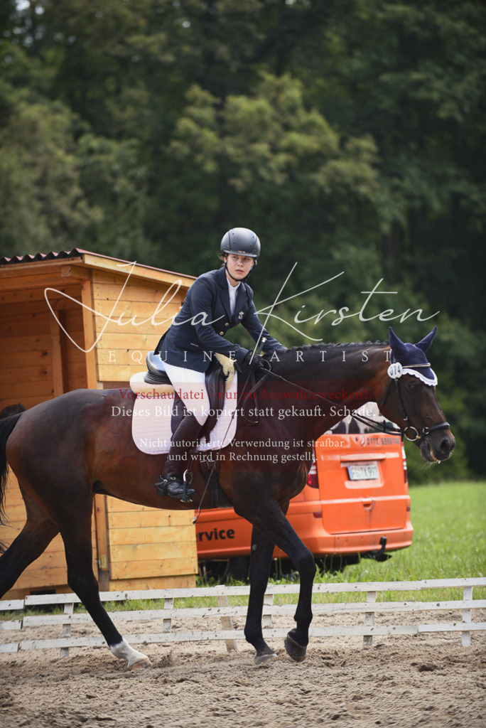 DSC_1524 | Pferde- und Turnierfotografie in Westsachsen. Pferdeportraits, Auftragszeichnungen und intuitive Kunst.