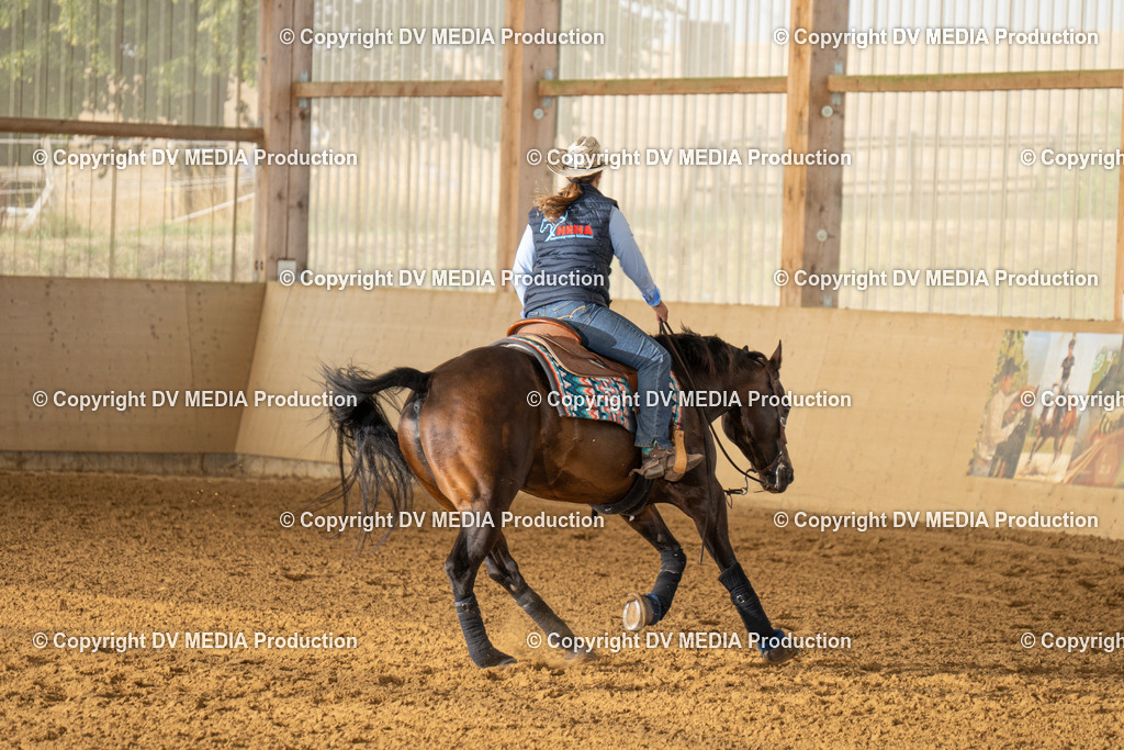 LAU01421 | dv-media-shop - Realisiert mit Pictrs.com