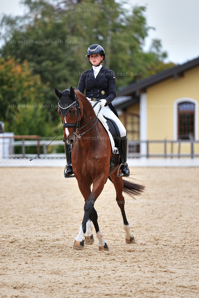 11-048-Dressur S___-Marixx-1520 | working equitationturnier fotograf videograf stoibphotography marixx film working equitation deutschland reitsport turnierfotografie eventfotografie equestrian events
