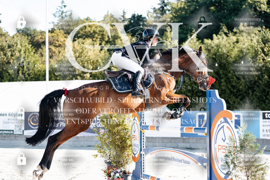 CK904293 | Turnierfotografie Pferdefotografie Trier Rheinland-Pfalz Pferdesport Reitsport Tierfotografie Sportfotografie Pferdevideo Pferdevideografie Equestrianvideography equestrianphotography  - Realisiert mit Pictrs.com