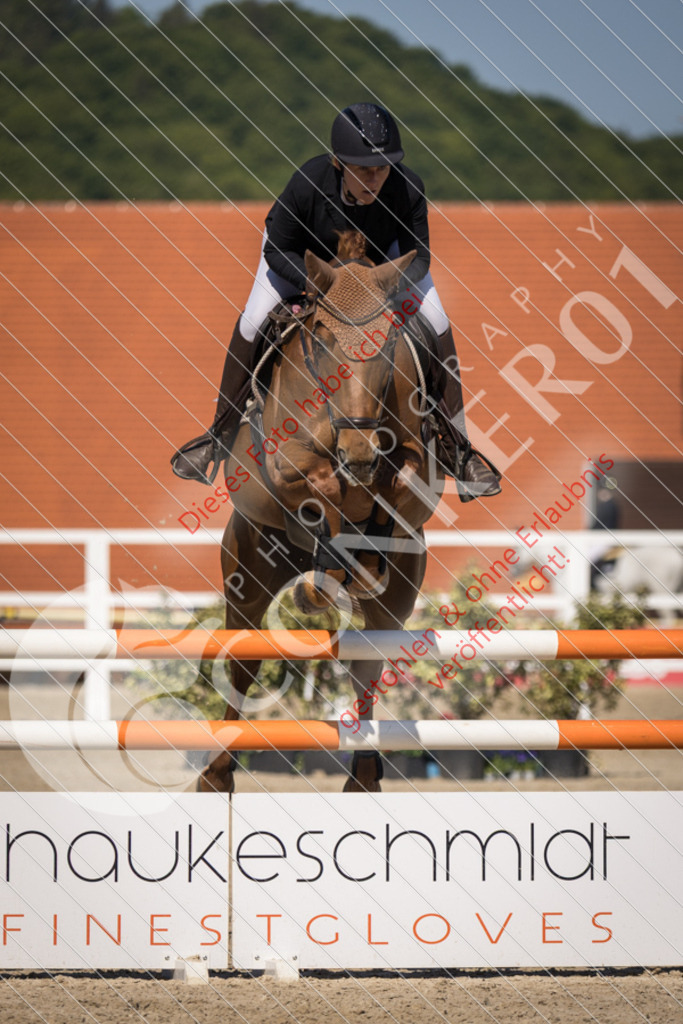 IMG_3821 | Sport-, Event- und Tierfotos in Profiqualität. Einfach auswählen, bestellen und herunterladen. Dein Moment – perfekt festgehalten.