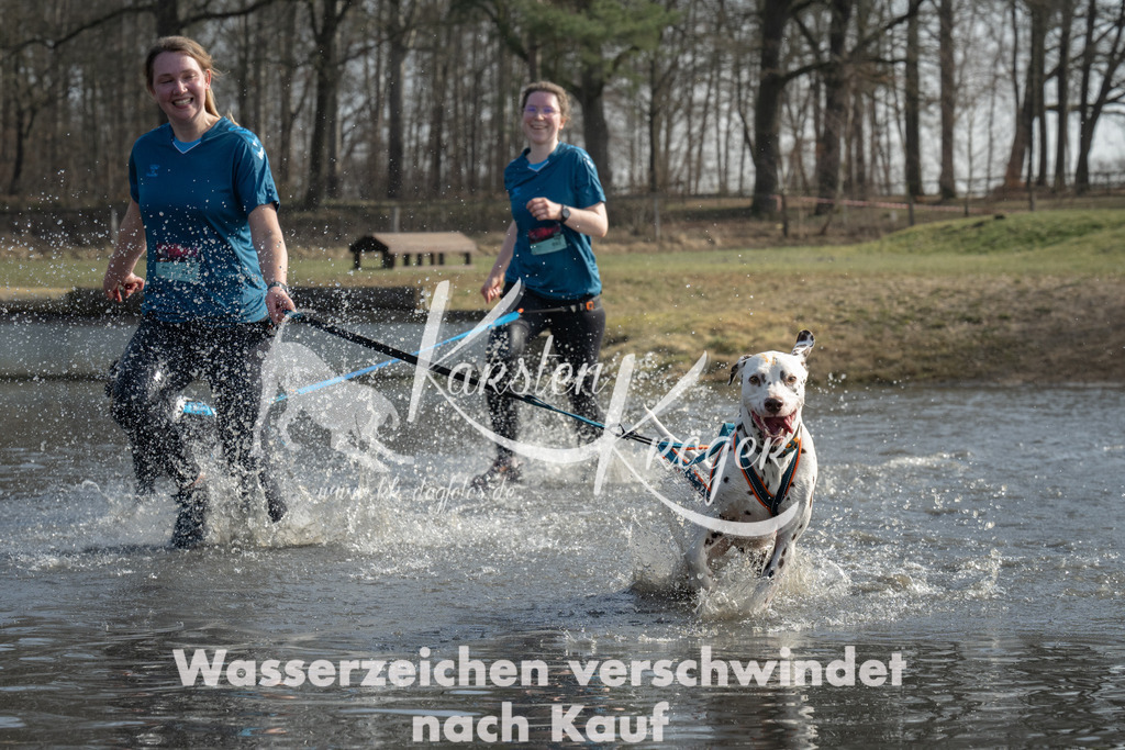 1243_ZZ91720 | kk-dogfotos