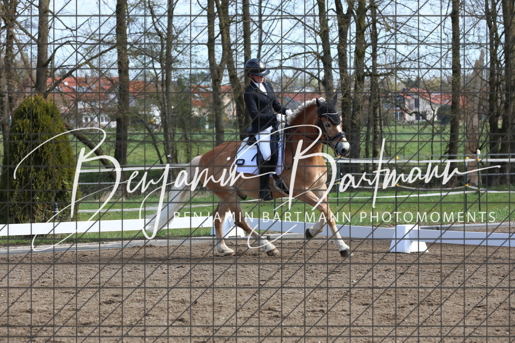 AZ2A4461 | Benjamin Bartmann Photomoments