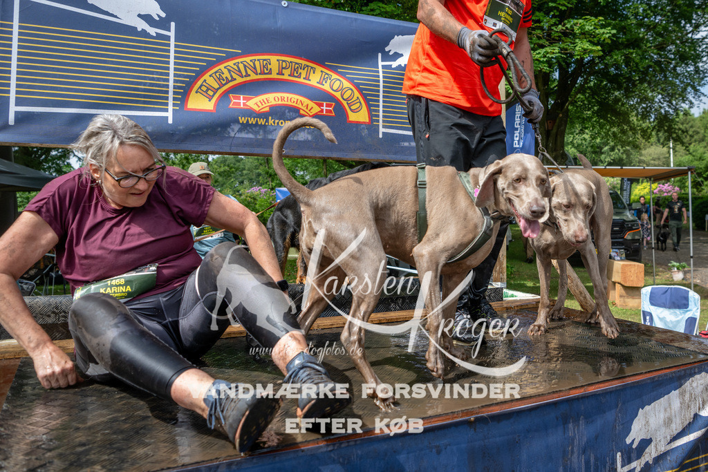 1031_ZZ91086 | kk-dogfotos