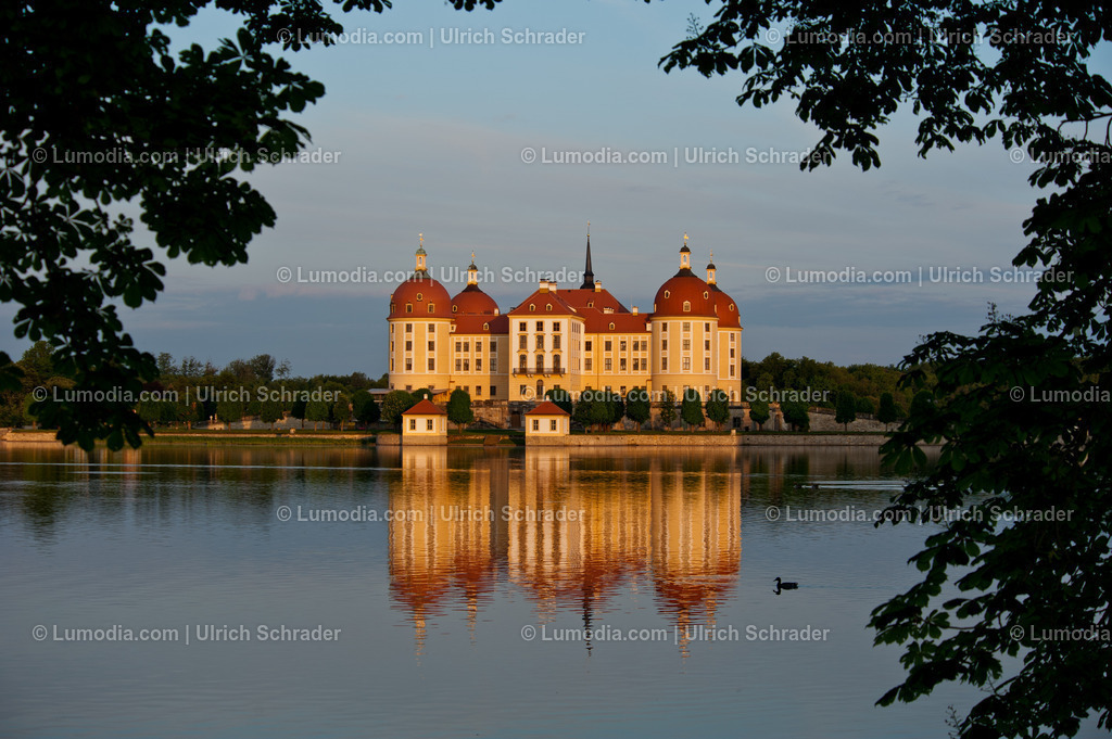 100491-3412 - Moritzburg bei Dresden | Stockfoto und Bilderpool mit Bildmaterial aus Deutschland, dem Harz, Halberstadt, Quedlinburg, Wernigerode und weltweit. Qualitativ hochwertige und professionelle Fotos anschauen und kaufen. - Realisiert mit Pictrs.com
