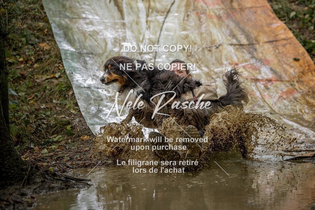 nelerasche_Hunsrück_Sa1430-1500_321-final | nelerasche