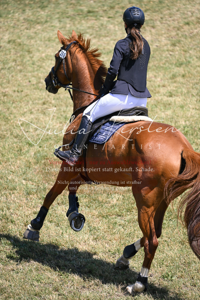 DSC_9960 | Pferde- und Turnierfotografie in Westsachsen. Pferdeportraits, Auftragszeichnungen und intuitive Kunst.