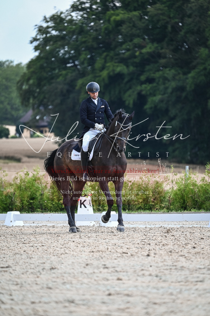 DSC_2392 | Pferde- und Turnierfotografie in Westsachsen. Pferdeportraits, Auftragszeichnungen und intuitive Kunst.