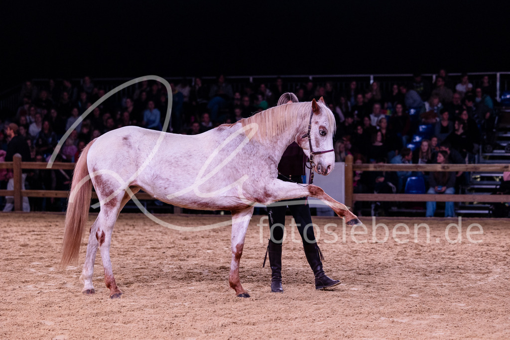 846A7655 | fotosleben - Realisiert mit Pictrs.com