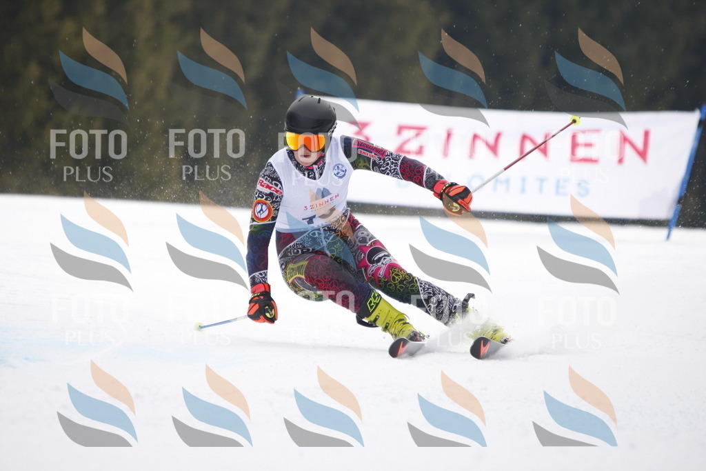 D4819 | holidayphoto