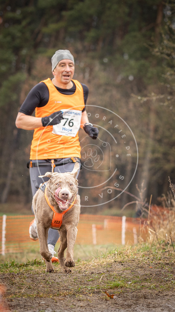 DV3A0299 | Hundefotografie, Tierfotograf, Pfotenfotografie, Fotoshooting Hund, Hunde Portrait, Hundesport, Hundeportraits, Heideshooting, Hunde, Sportfotograf, Hundefotograf, Turnierhundsport, THS,  - Realisiert mit Pictrs.com